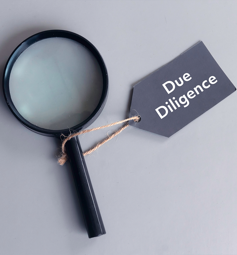 Due Diligence Services